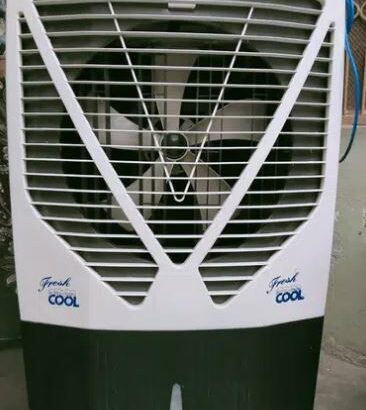 Air cooler with ice pack fasility