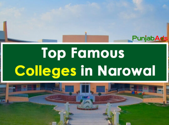 Top Famous Colleges in Narowal