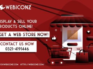 Webiconz Technologies Web Development Digital Marketing Company