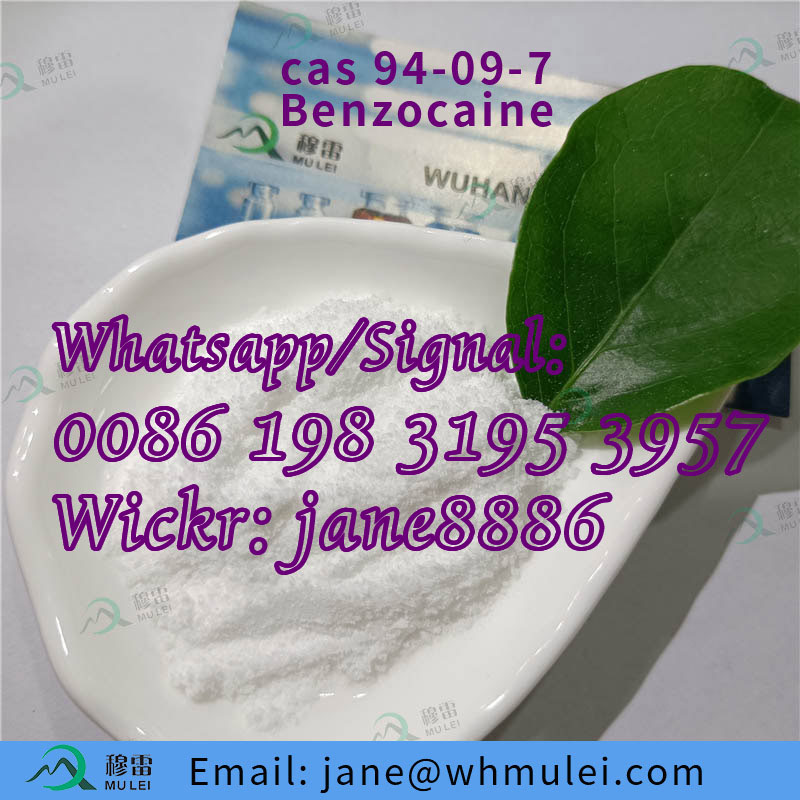 Local Anesthetic Powder Benzocaine for Anti-Paining CAS 94-09-7