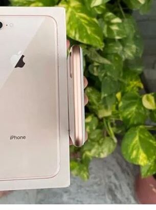 Iphone 8 plus 64gb Gold complete box Pta approved ✅ 10/10 scratchless