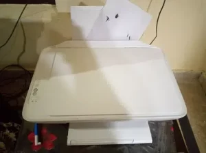 hp printer Bhakka