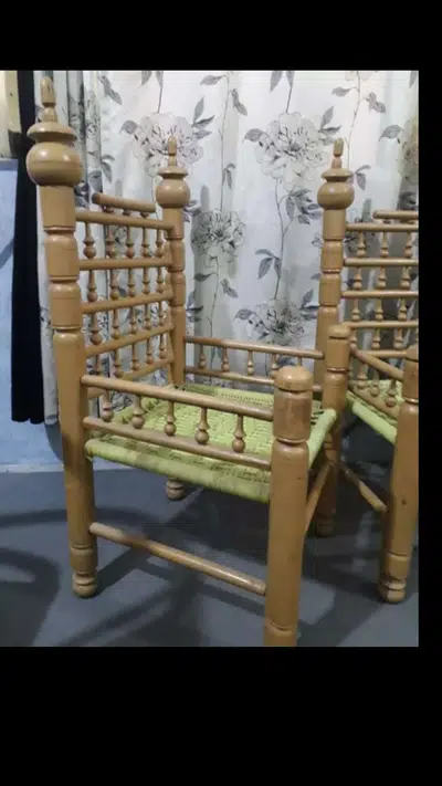 Fancy Chairs 2 Pcs Koha
