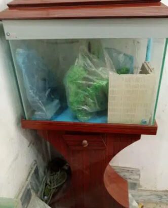 Fish Aquarium for sale in Gujranwala