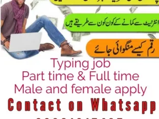 Typing job for male and female daily basis