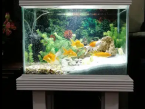 Brand new aquarium for sale