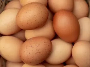 Desi Eggs for sale in Khanewal