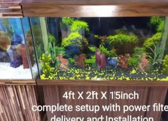 Brand New Aquariums at BEST price by Fish On Wheel