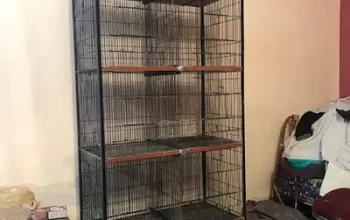 cage for sale in Lahore
