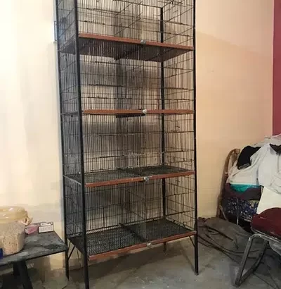 cage for sale in Lahore