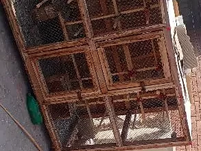 Cage for sale in Multan