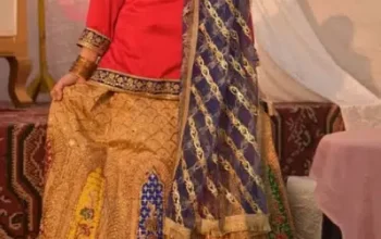 Embroidered Ladies Lehnga for sale in Lahore
