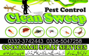 Cockroach Spray Services Islamabad