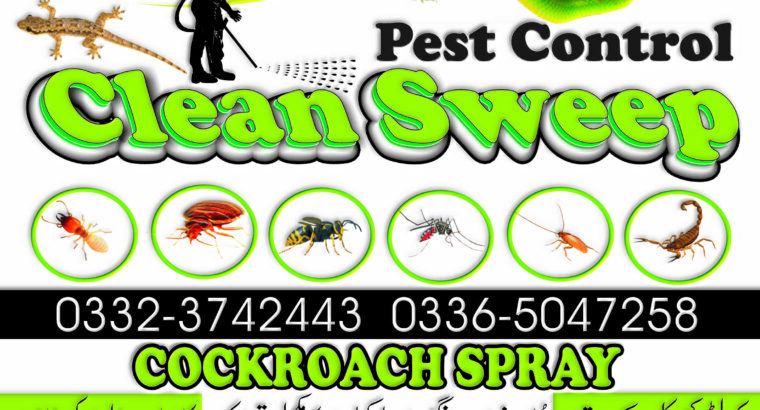 Cockroach Spray Services Islamabad