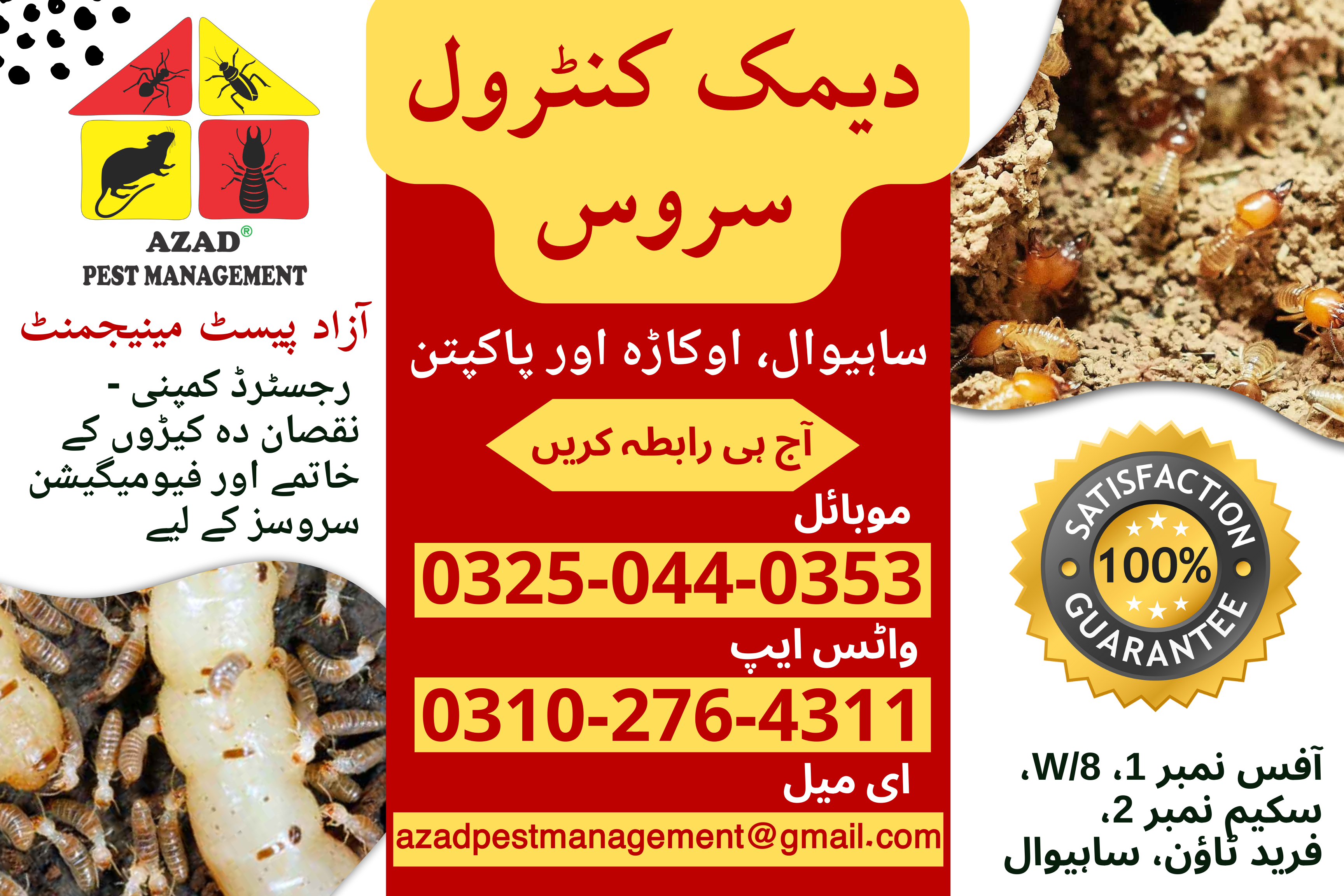 Termite | Deemak | Pest Control Service in Sahiwal