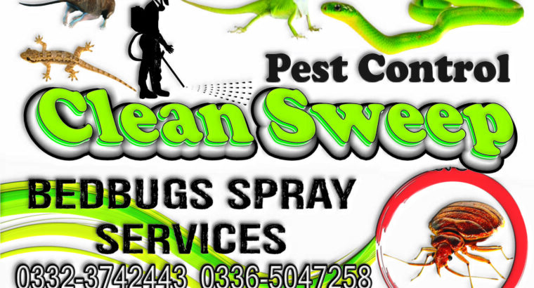 budbugs Treatment in Islamabad