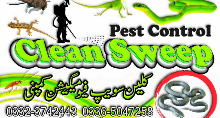 Cockroach Spray Services Islamabad
