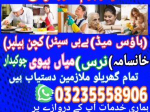 Domestic Servant Cook maid helper services availab