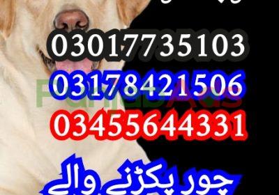 1750304231825