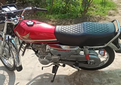 599735058-800×600-1