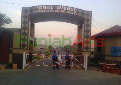 iqbal-avenue