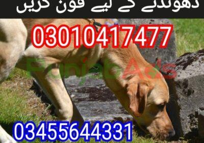 main-qimg-e2dbc34f08cc39fc43fc7b4e9d1c8321-4